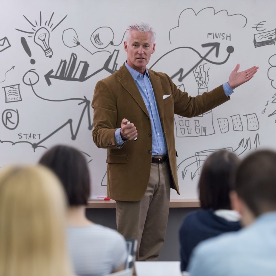 portrait of handsome teacher